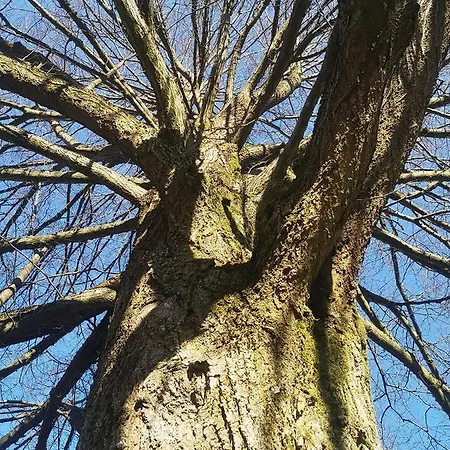 Landschule Rhoen 포펜하우젠