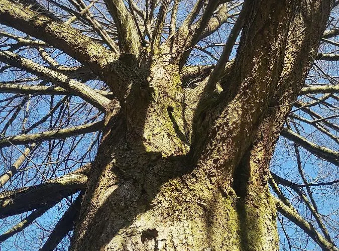 Landschule Rhoen 波彭豪森