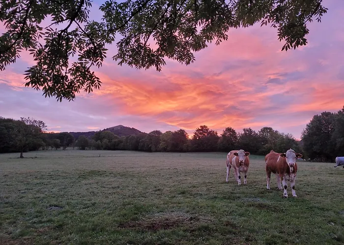 Landschule Rhoen * 波彭豪森